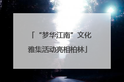 “梦华江南”文化雅集活动亮相柏林