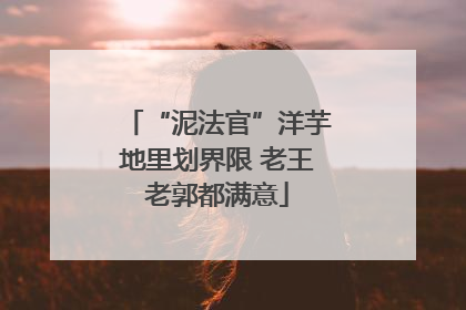 “泥法官”洋芋地里划界限 老王老郭都满意