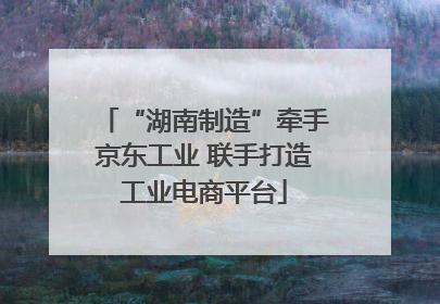 “湖南制造”牵手京东工业 联手打造工业电商平台