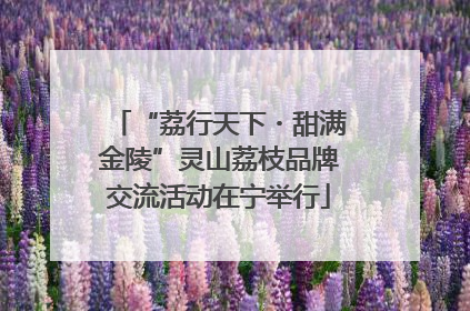 “荔行天下・甜满金陵”灵山荔枝品牌交流活动在宁举行