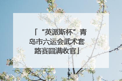 “英派斯杯”青岛市六运会武术套路赛圆满收官