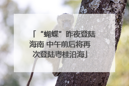 “蝴蝶”昨夜登陆海南 中午前后将再次登陆粤桂沿海