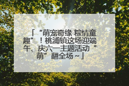 “萌宠奇缘 粽情童趣”！桃浦镇这场迎端午、庆六一主题活动“萌”翻全场～