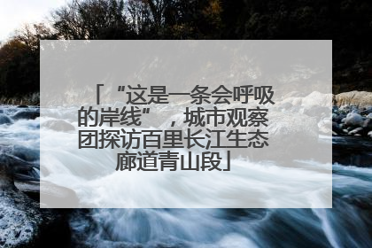 “这是一条会呼吸的岸线”，城市观察团探访百里长江生态廊道青山段