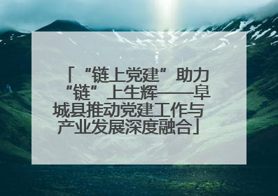 “链上党建”助力“链”上生辉——阜城县推动党建工作与产业发展深度融合
