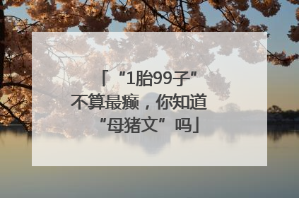 “1胎99子”不算最癫，你知道“母猪文”吗