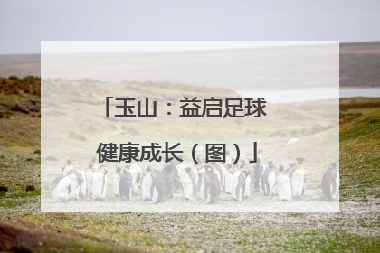 玉山：益启足球 健康成长（图）