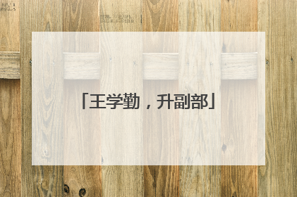 王学勤，升副部