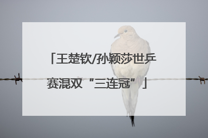 王楚钦/孙颖莎世乒赛混双“三连冠”