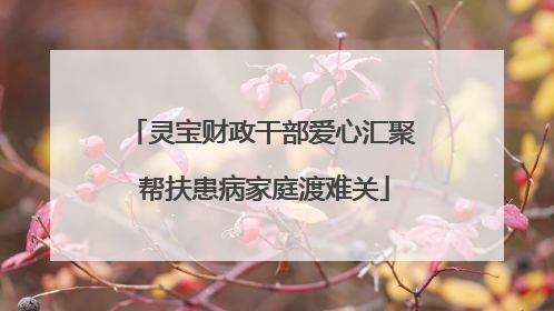 灵宝财政干部爱心汇聚 帮扶患病家庭渡难关