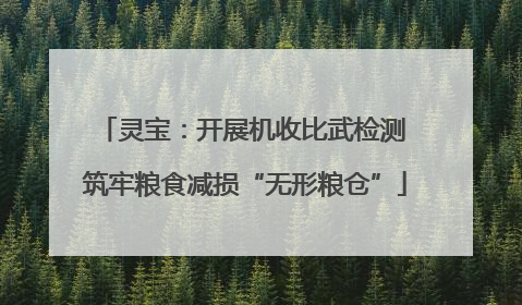 灵宝：开展机收比武检测 筑牢粮食减损“无形粮仓”