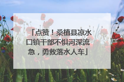 点赞！桑植县凉水口镇干部不惧河深流急，勇救落水人车