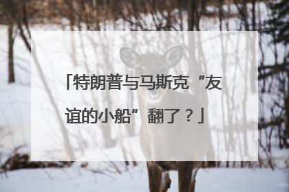 特朗普与马斯克“友谊的小船”翻了？