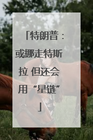 特朗普：或挪走特斯拉 但还会用“星链”