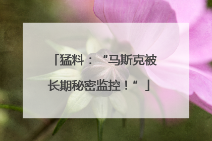 猛料：“马斯克被长期秘密监控！”