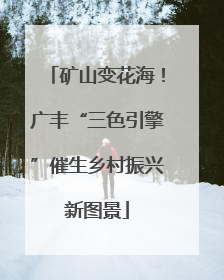 矿山变花海！广丰“三色引擎”催生乡村振兴新图景