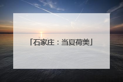 石家庄：当夏荷美