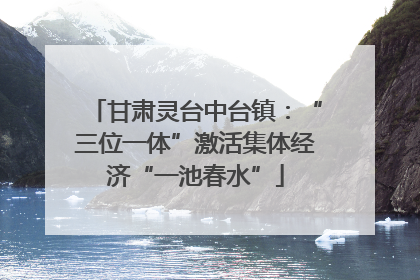 甘肃灵台中台镇：“三位一体”激活集体经济“一池春水”
