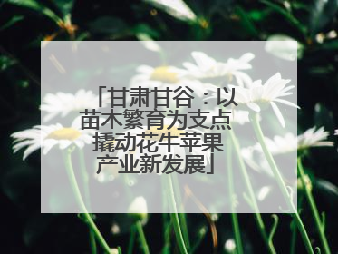 甘肃甘谷:以苗木繁育为支点 撬动花牛苹果产业新发展