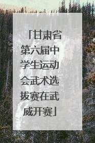 甘肃省第六届中学生运动会武术选拔赛在武威开赛