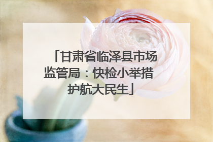 甘肃省临泽县市场监管局：快检小举措 护航大民生