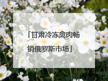 甘肃冷冻禽肉畅销俄罗斯市场