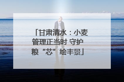 甘肃清水：小麦管理正当时 守护粮“芯”绘丰景
