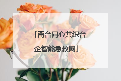 甬台同心共织台企智能急救网