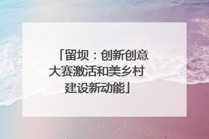 留坝：创新创意大赛激活和美乡村建设新动能