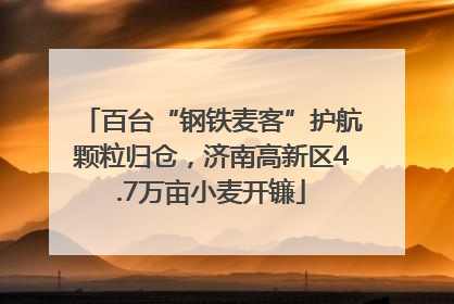 百台“钢铁麦客”护航颗粒归仓，济南高新区4.7万亩小麦开镰
