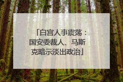白宫人事震荡：国安委裁人、马斯克暗示淡出政治