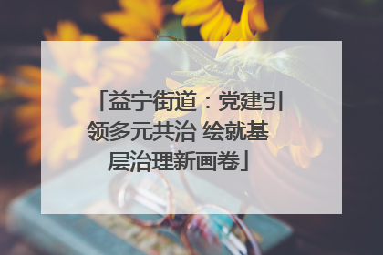 益宁街道：党建引领多元共治 绘就基层治理新画卷