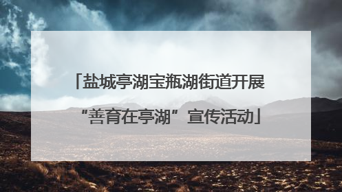 盐城亭湖宝瓶湖街道开展“善育在亭湖”宣传活动