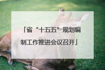 省“十五五”规划编制工作推进会议召开