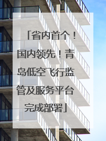 省内首个！国内领先！青岛低空飞行监管及服务平台完成部署