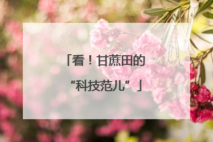 看！甘蔗田的“科技范儿”