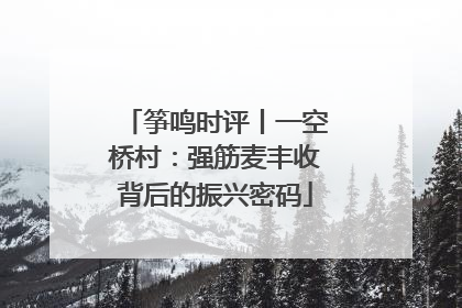 筝鸣时评丨一空桥村：强筋麦丰收背后的振兴密码