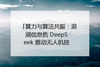 算力与算法共振：浪潮信息携 DeepSeek 推动无人机技术在舟山落地
