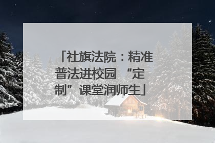 社旗法院：精准普法进校园 “定制”课堂润师生