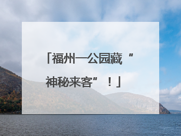 福州一公园藏“神秘来客”！