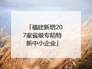 福建新增207家省级专精特新中小企业