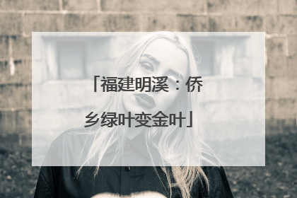 福建明溪：侨乡绿叶变金叶