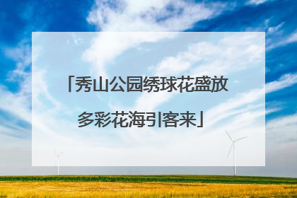 秀山公园绣球花盛放 多彩花海引客来