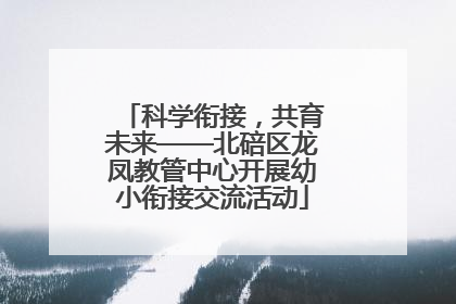 科学衔接，共育未来——北碚区龙凤教管中心开展幼小衔接交流活动