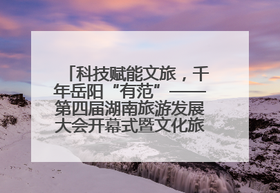 科技赋能文旅，千年岳阳“有范”——第四届湖南旅游发展大会开幕式暨文化旅游推介会侧记
