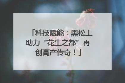科技赋能：黑松土助力“花生之都”再创高产传奇！