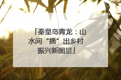 秦皇岛青龙：山水间“播”出乡村振兴新图景