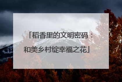 稻香里的文明密码：和美乡村绽幸福之花
