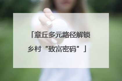 章丘多元路径解锁乡村“致富密码”