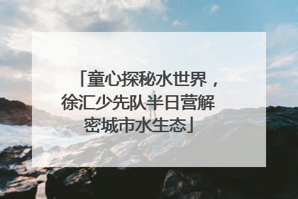 童心探秘水世界，徐汇少先队半日营解密城市水生态